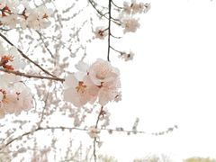 -颐和园
