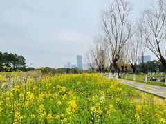 -艾溪湖湿地公园