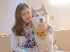 -Husky Go! 哈士奇体验馆·宠物咖啡厅狗咖