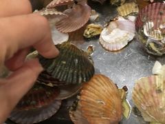 -胶东海鲜大排档(北太平庄店)