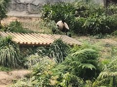 -石排湾郊野公园