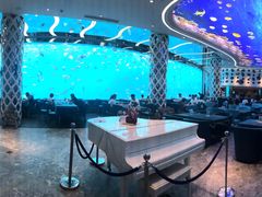-瑞德姆美人鱼海底演艺主题餐厅(亚龙湾店)