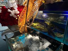 -苏格里岛自助烤肉海鲜火锅(成都金牛万达店)