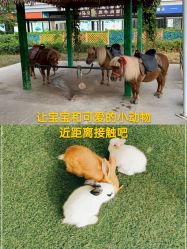 -萌宠亲子动物乐园(槐房万达店)