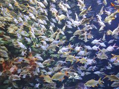 -成都浩海立方海洋公园