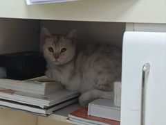 -宠颐生中康贝怡动物医院