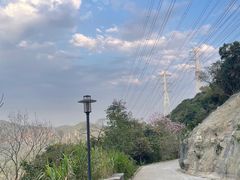 -小南山公园