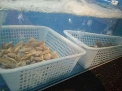 水产区-红门金汤·港式火锅(英皇集团中心店)
