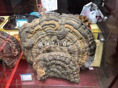 -杭州胡庆余堂第二中医门诊部