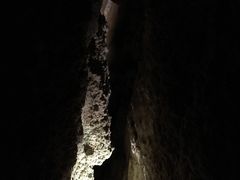 -怀托摩萤火虫洞