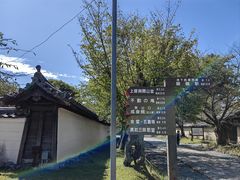 -醍醐寺