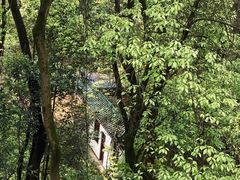 -岳麓山风景名胜区