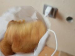 -华莱士·炸鸡汉堡(吉祥街店)