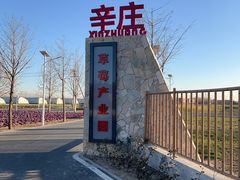 -辛庄国际文化艺术区
