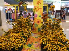 -小厨娘淮扬菜(清江苏宁广场店)
