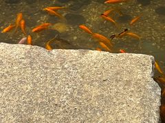 -邈墨茶馆(凤起路店)