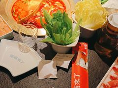 -熊喵来了火锅(四平万达第56分店)