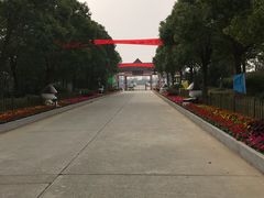 -上海都市菜园