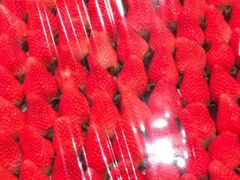 -西郊国际农产品交易中心