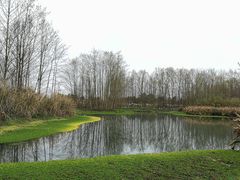 -桤木河湿地公园