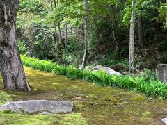 -苍龙峡风景区