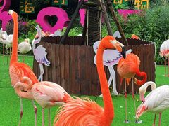 -外滩8号 whisky bar(金延大厦店)