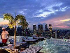 -新加坡文华东方酒店