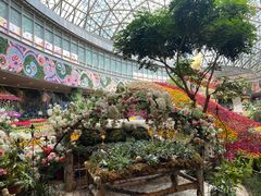-花之城