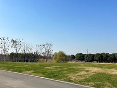 -苏州湾体育公园
