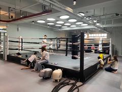 -花环泰拳·勒德斯拉泰拳馆(静安店)