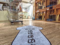 -Pets First伊珊娜洗护·精致美容·家庭式寄养(新会路店)