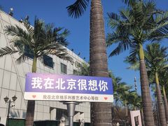 -北京石景山游乐园