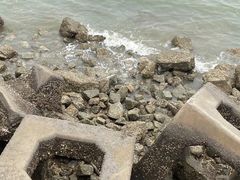 -东疆建设开发纪念公园