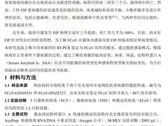 -瑞派申生动物医院·24H夜诊·国际动物医疗中心·骨外科(吴中路店)