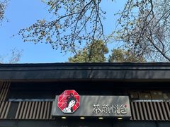 -茶颜悦色(岳麓山顶店)