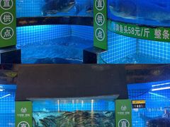 -千岛湖小鱼儿·淳安匠心农家菜