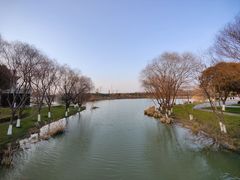 -九里河湿地公园