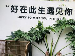 -云里小坐·小院里·团建·宴请·下午茶(三圣乡店)