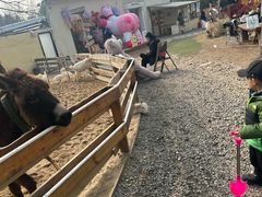 -HERRE·FARM 赫尔露营农场·团建聚会包场