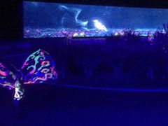 -鼎盛王朝康熙大典实景演出