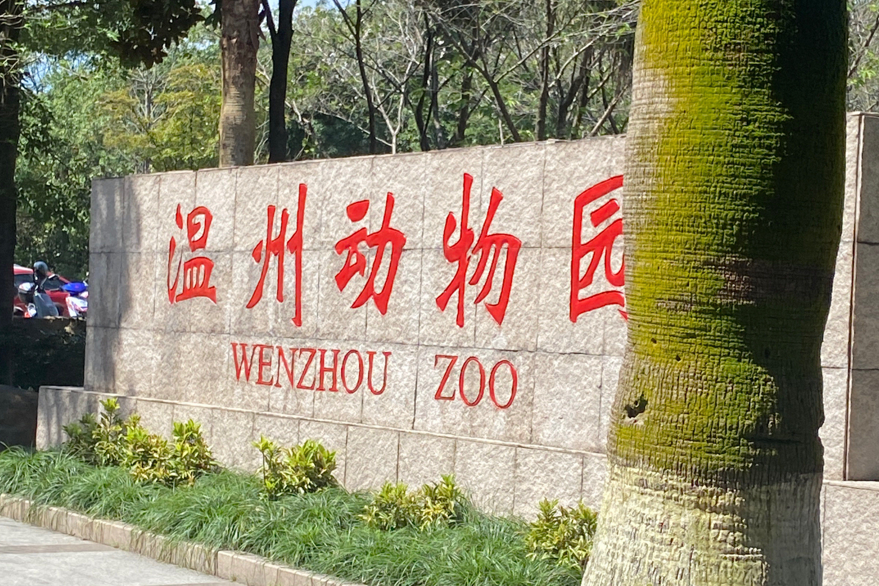 搭着🚗一路风风火火开到了温州动物园