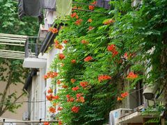 -思南书局(复兴中路店)
