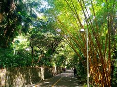 -中山公园(石岐街道)