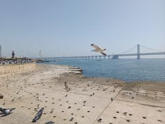 -星海广场