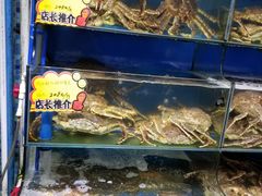 -蚝专家(北滘店)