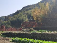 -鹿亭中村