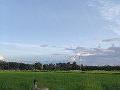 -光明小镇欢乐田园