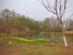 -桤木河湿地公园