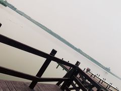 -西青郊野公园
