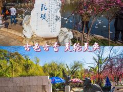 -翠湖公园
